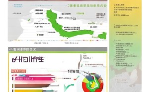 湖南省信息化咨询服务费用现状及优化建议
